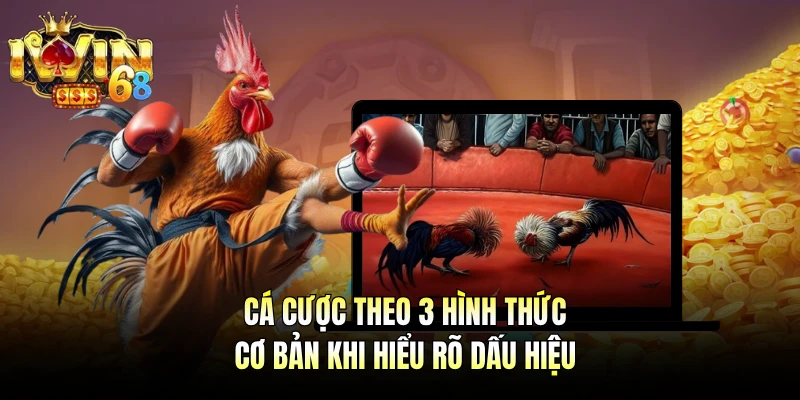 Cá cược theo 3 hình thức cơ bản khi hiểu rõ dấu hiệu