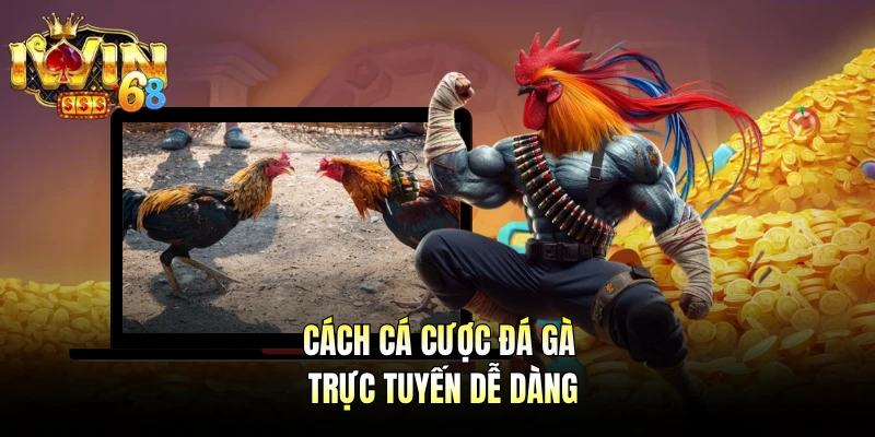 Cách cá cược đá gà trực tuyến dễ dàng