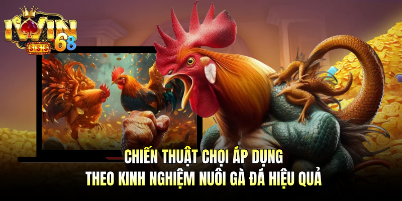 Chiến thuật chọi áp dụng theo kinh nghiệm nuôi gà đá hiệu quả