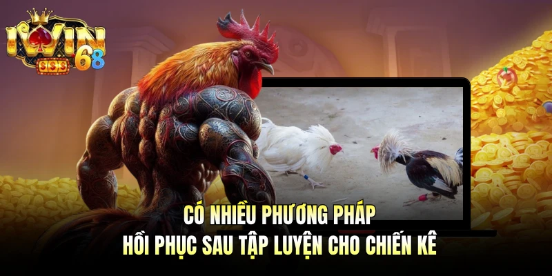 Có nhiều phương pháp hồi phục sau tập luyện cho chiến kê