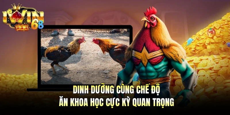 Dinh dưỡng cùng chế độ ăn khoa học cực kỳ quan trọng