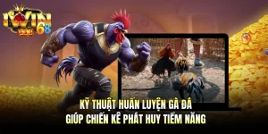 Kỹ Thuật Huấn Luyện Gà Đá - Giúp Chiến Kê Phát Huy Tiềm Năng