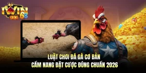 Luật Chơi Đá Gà Cơ Bản - Cẩm Nang Đặt Cược Đúng Chuẩn 2026