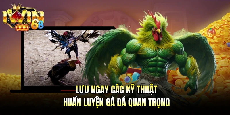 Lưu ngay các kỹ thuật huấn luyện gà đá quan trọng