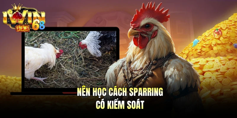 Nên học cách Sparring có kiểm soát