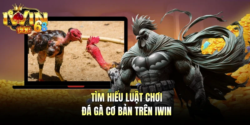 Tìm hiểu luật chơi đá gà cơ bản trên IWIN