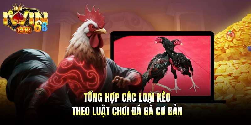 Tổng hợp các loại kèo theo luật chơi đá gà cơ bản